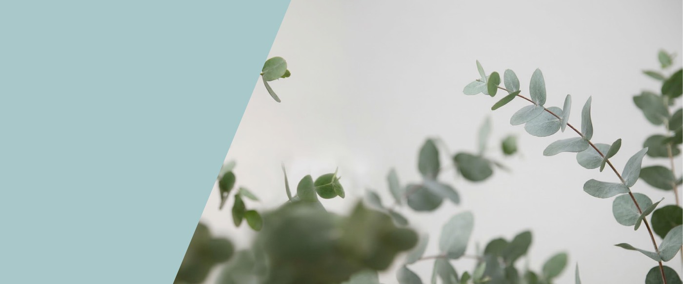 Une plaque Hommage Souvenir